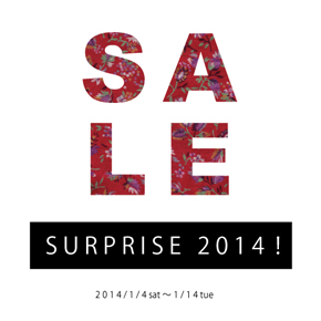 SURPRISE 2014！