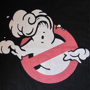 TCSS northern summer 2013